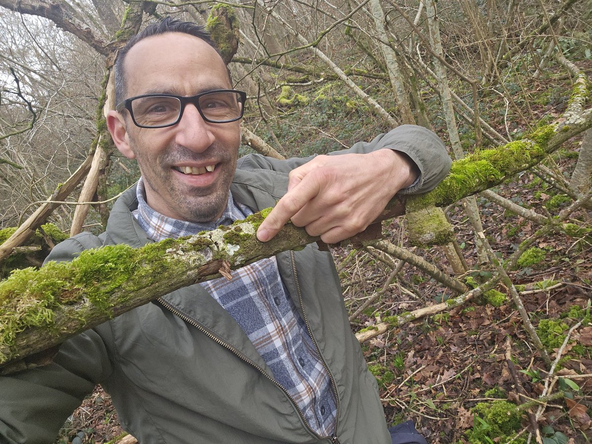 Nice to find ,Orbilia vinosa, growing on a dead willow branch in Midger wood on Sunday day , in my Monograph of Orbiliomycetes it says only five  previous records for this species in the UK, nice to see an Orbiliomycete other than Orbilia Xanthostigma for a change.