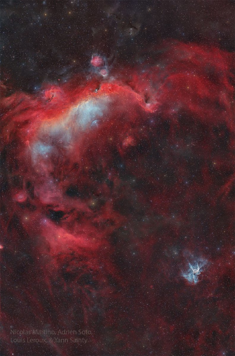 AstroImperial's tweet photo. The February 18, 2025 Astronomy Picture of the Day showcases the Seagull and Duck nebulae. The Seagull (NGC 2327 and IC 2177) spans 250 light-years, while the Duck (Thor’s Helmet,NGC 2359) is smaller at 50 light-years. Nebulae are shaped by stellar winds from hot, massive stars https://t.co/C46jL9u5x1