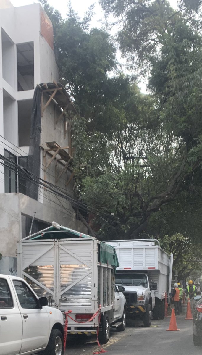 ReportandoCDMX1's tweet photo. En este momento esta constructora esta talando un arbol frente a su obra en Andrea del castagno 29, nonoalco en @BJAlcaldia además de tener el paso peatonal obstaculizado. @PAOTmx @UCS_GCDMX @BlindarBJ @LuisMendozaBJ vas a permitir perdamos otro árbol ? @tomaspliegoc ayuda https://t.co/zmgk9TByuO