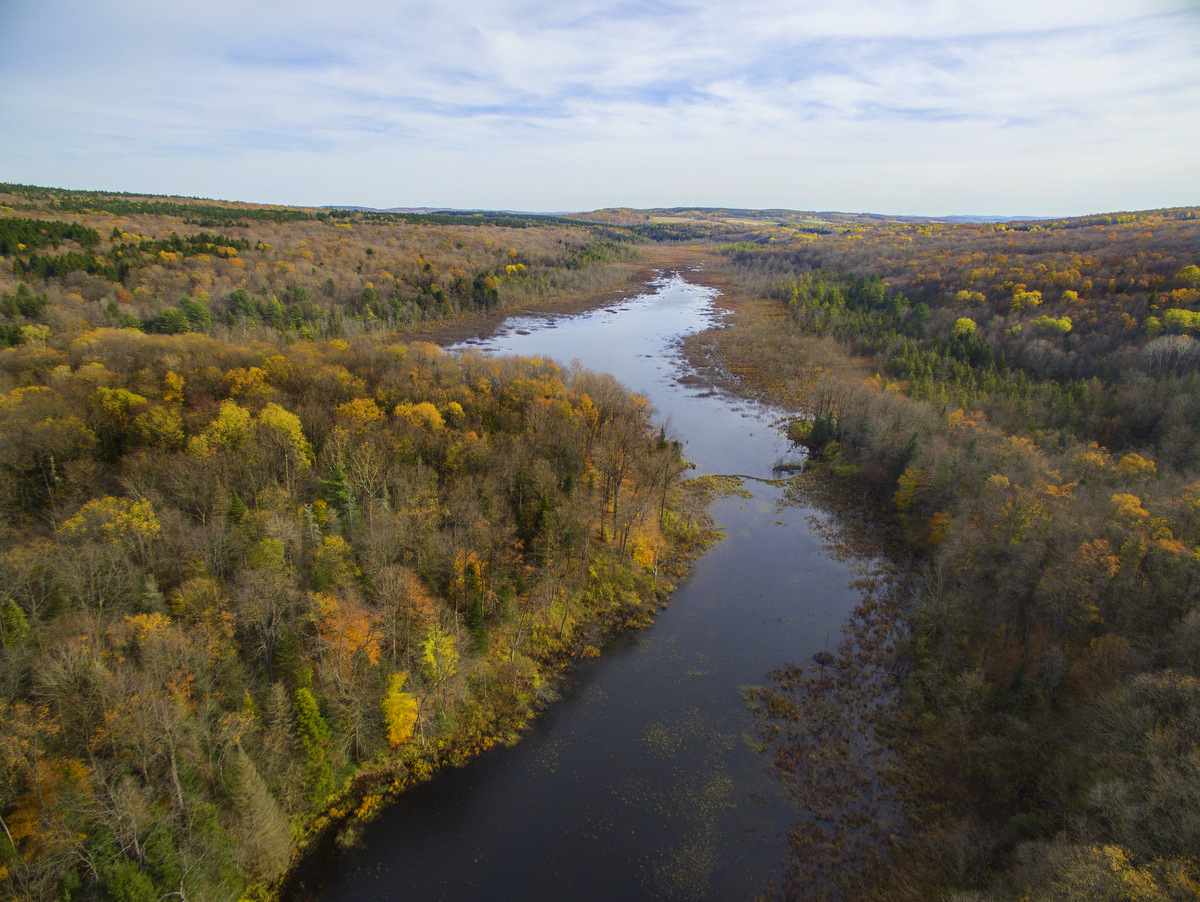 🌲 Good news! The <a href="/FLLandTrust/">FingerLakesLandTrust</a> purchased 218 acres adjacent to Bear Swamp State Forest in Cayuga Co. The property features 755 feet of frontage on Bear Swamp Creek, the largest tributary to Skaneateles Lake.

📰 See the story: fllt.org/land-acquisiti…
🌌 Photo by Bill Hecht