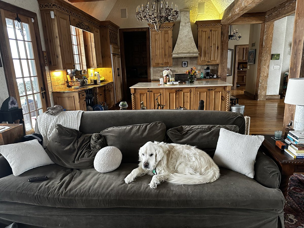 ShaneHackett tweet media