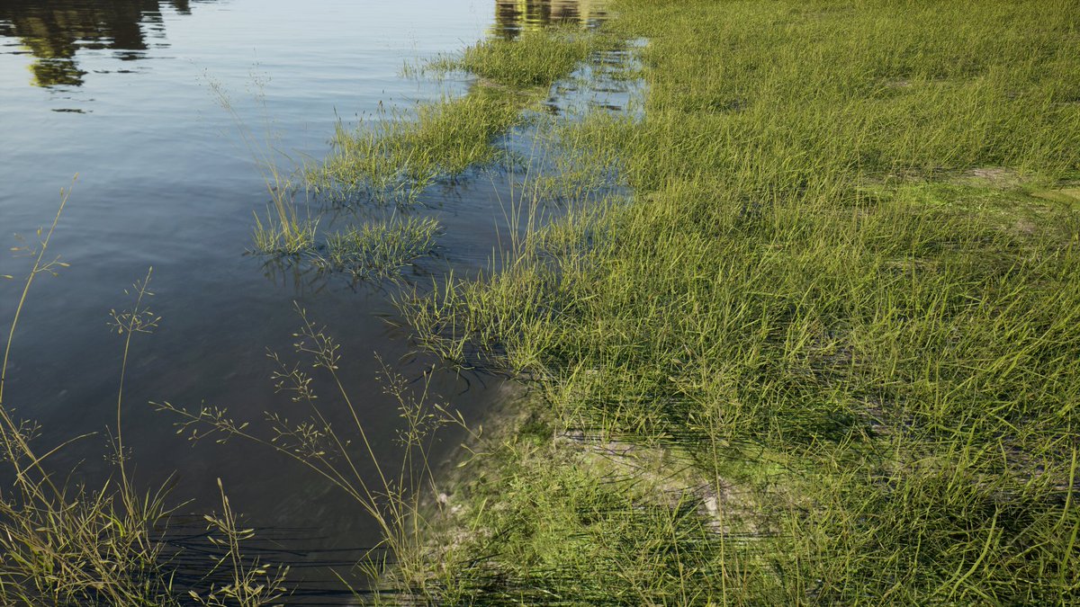 iCorpTycoon's tweet photo. Nature in iCorp ποΈ
#gamedev #IndieGameDev #iCorp #nature #Landscape #grass #Water #UnrealEngine5 https://t.co/fOMAgBHCXT
