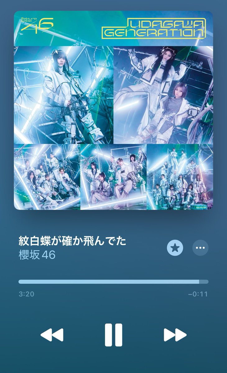 紋白蝶が確か飛んでた