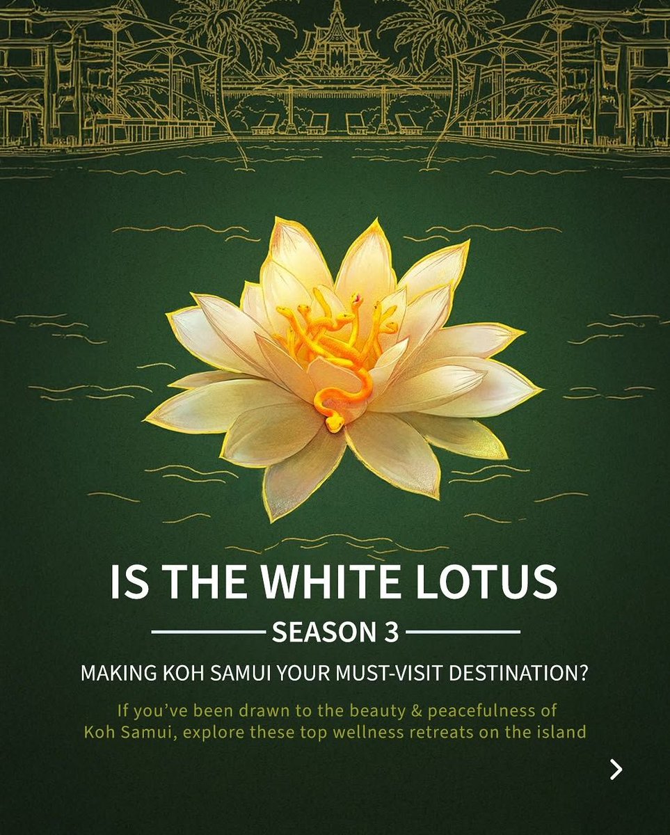 Healing Holidays tweet media