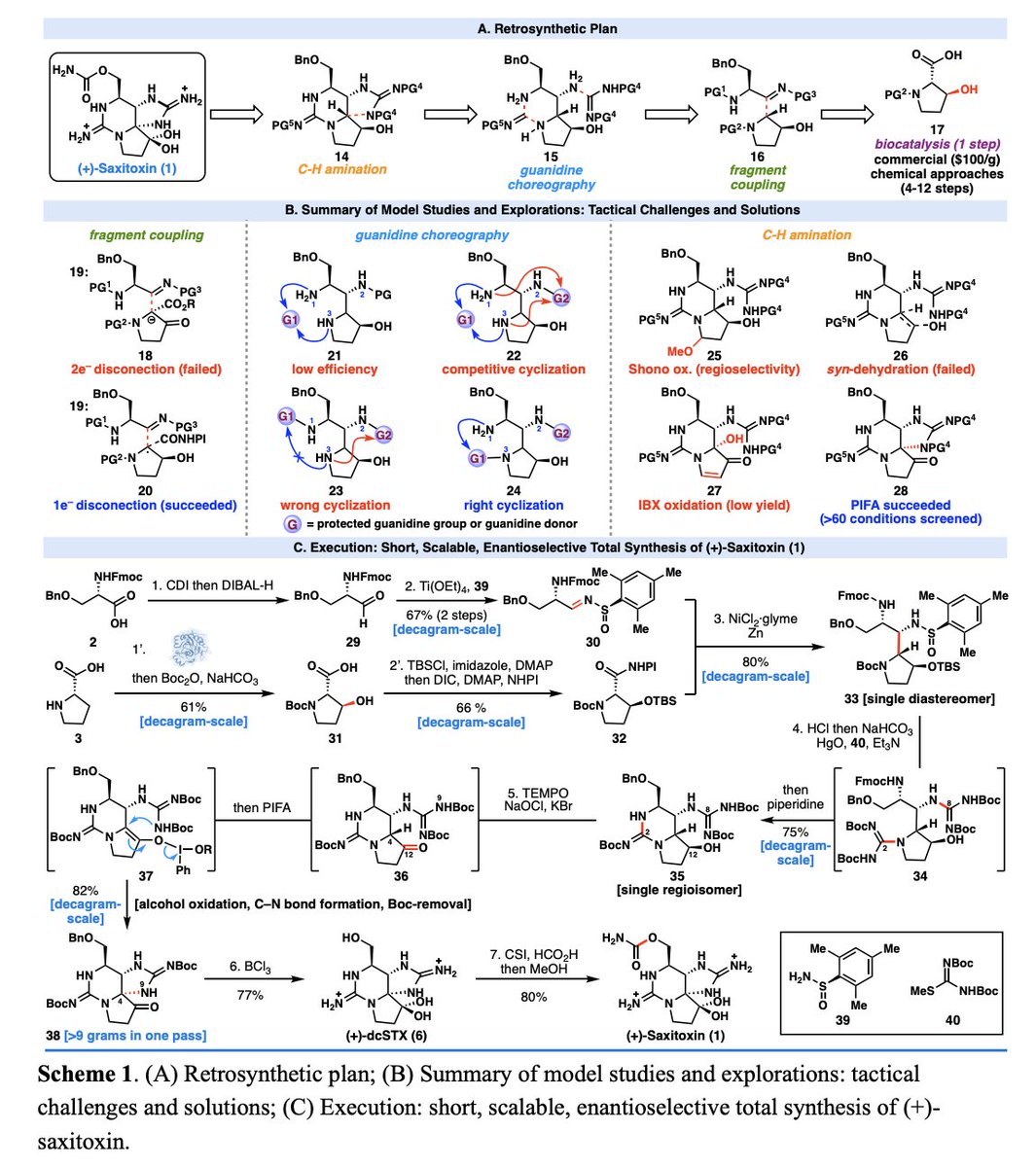 Total Synthesis tweet media