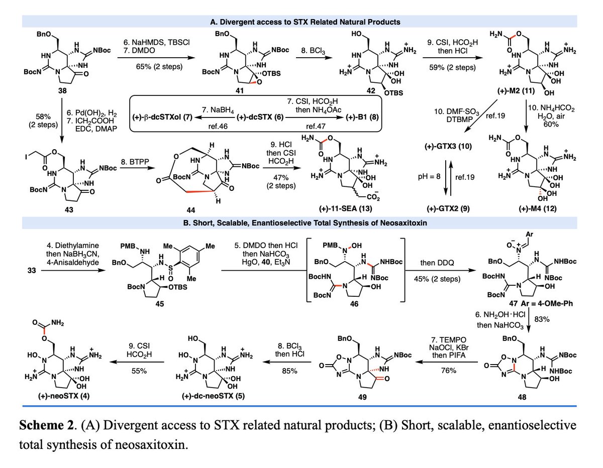 Total Synthesis tweet media