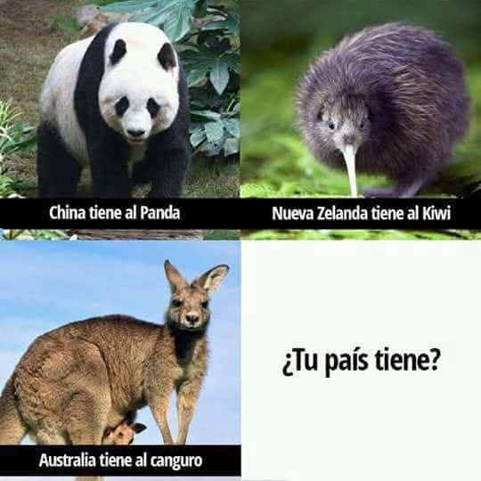 Enséñame de Ciencia tweet media