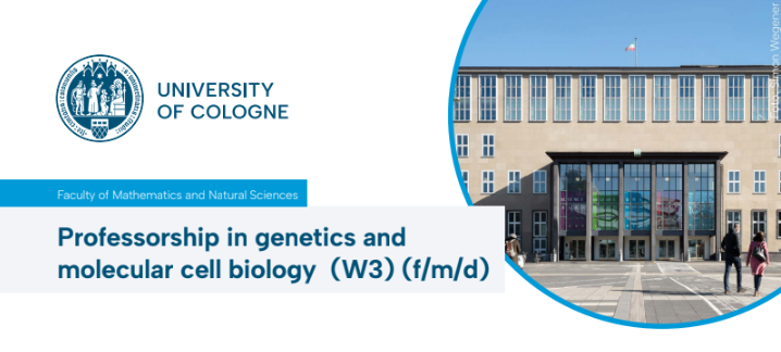 Uni Cologne NY (@unicologneny) on Twitter photo 🧑🔬Do you have an excellent academic background in functional #genetics & molecular cell #biology?🧬
💥<a href="/UniCologne/">Universität zu Köln</a> w/ its cluster of excellence on #aging <a href="/CECAD_/">CECAD Cologne</a> has an open position for a #professorship at the institute for genetics.📢
📨Apply by 03/02/25! stellenwerk.de/koeln/professo… 🧑🔬Do you have an excellent academic background in functional #genetics & molecular cell #biology?🧬
💥<a href="/UniCologne/">Universität zu Köln</a> w/ its cluster of excellence on #aging <a href="/CECAD_/">CECAD Cologne</a> has an open position for a #professorship at the institute for genetics.📢
📨Apply by 03/02/25! stellenwerk.de/koeln/professo…
