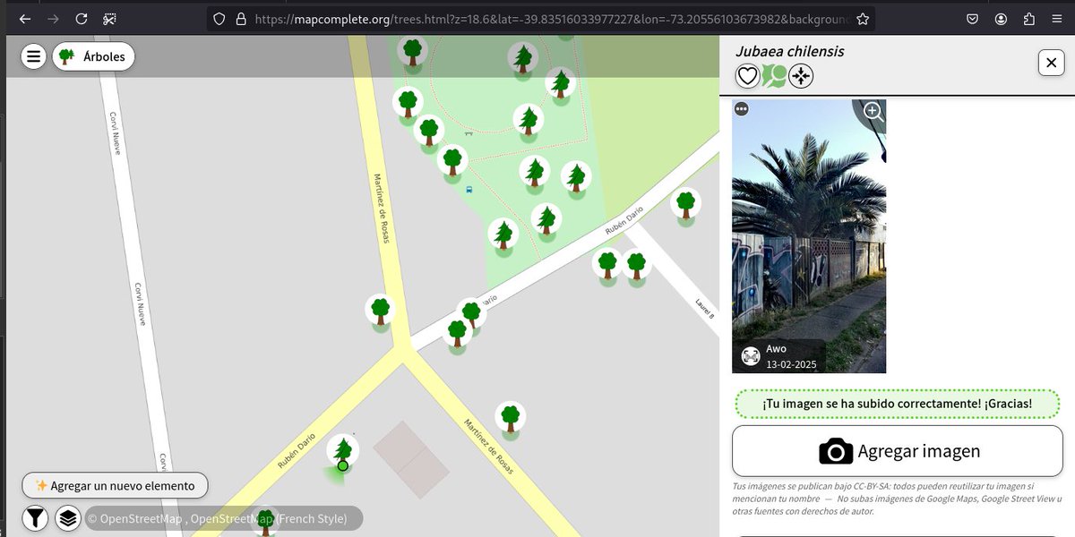 openmapchile's tweet photo. #jubaea chilensis mapeadas en #OpenStreetMap, en total 4110. Jch n°3945 en el SAG, Santiago, n°3944 en #Valdiviacl ambas en Chile. El registro n°4110 en Alemania, ciudad Leverkusen. #AUPV visor #MapComplete natural=tree #mapa #ArboladoUrbano https://t.co/F9czF7lh54
