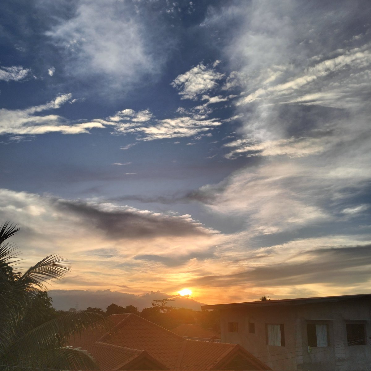 zephyrn_zip's tweet image. 