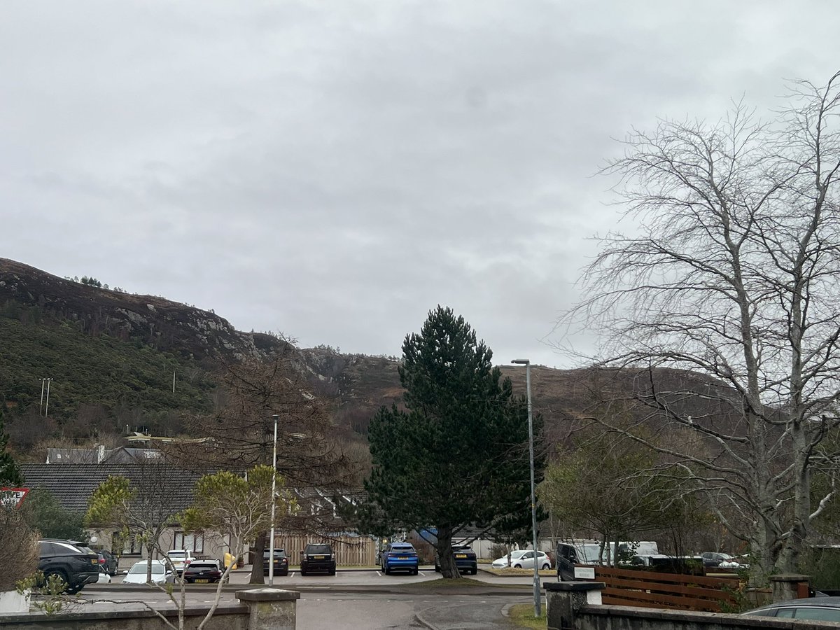 Dr Lee Coutts tweet media