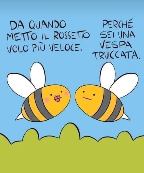 gs_gianka's tweet photo. #intema
Con il nuovo codice della strada.. 😄 https://t.co/Qwu8YCsxeG