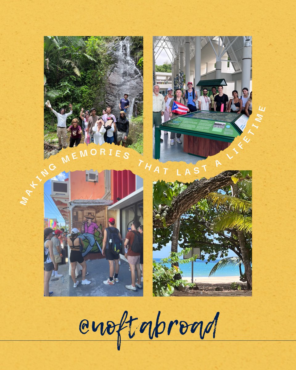 UofT Summer Abroad tweet media