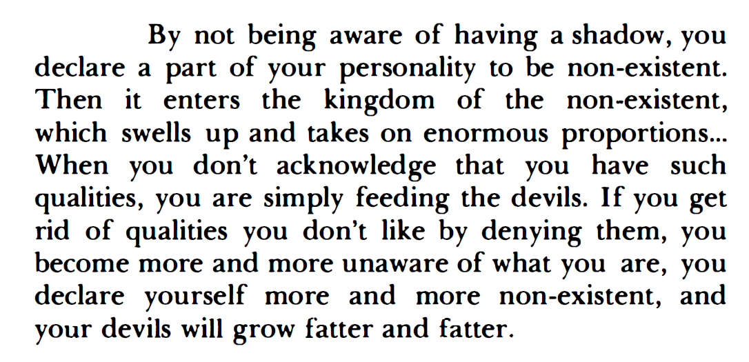 DylanoA4's tweet photo. Carl Jung, don't lie to yourself https://t.co/unFTR91orl