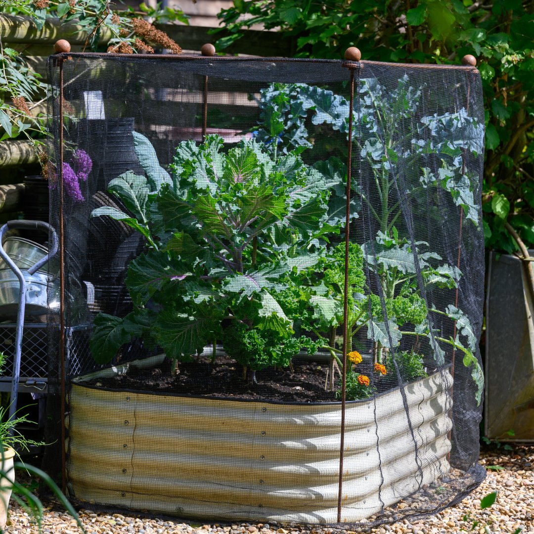 Who doesn't love a raised bed? 🌿

Your garden deserves something versatile, like our 4-in-1 modular raised beds, perfect for growing a variety of your favourites 🌸🥒