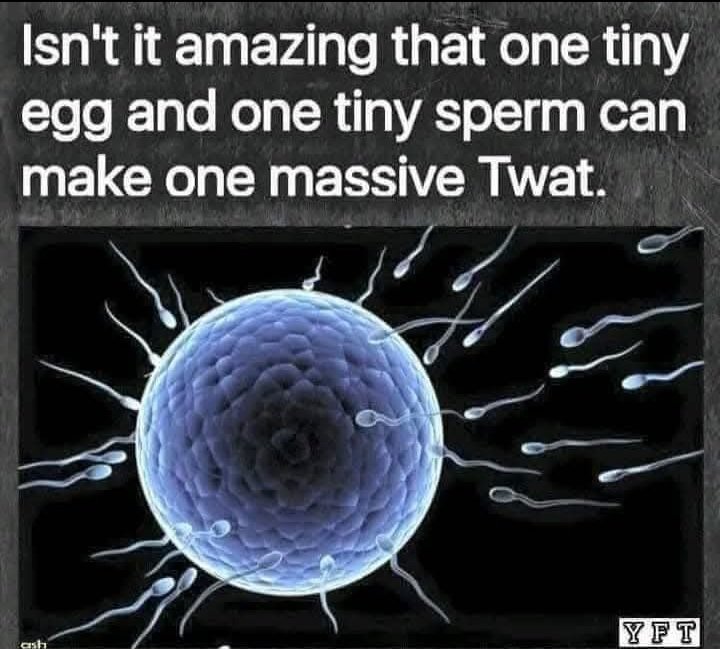 karen says... tweet media