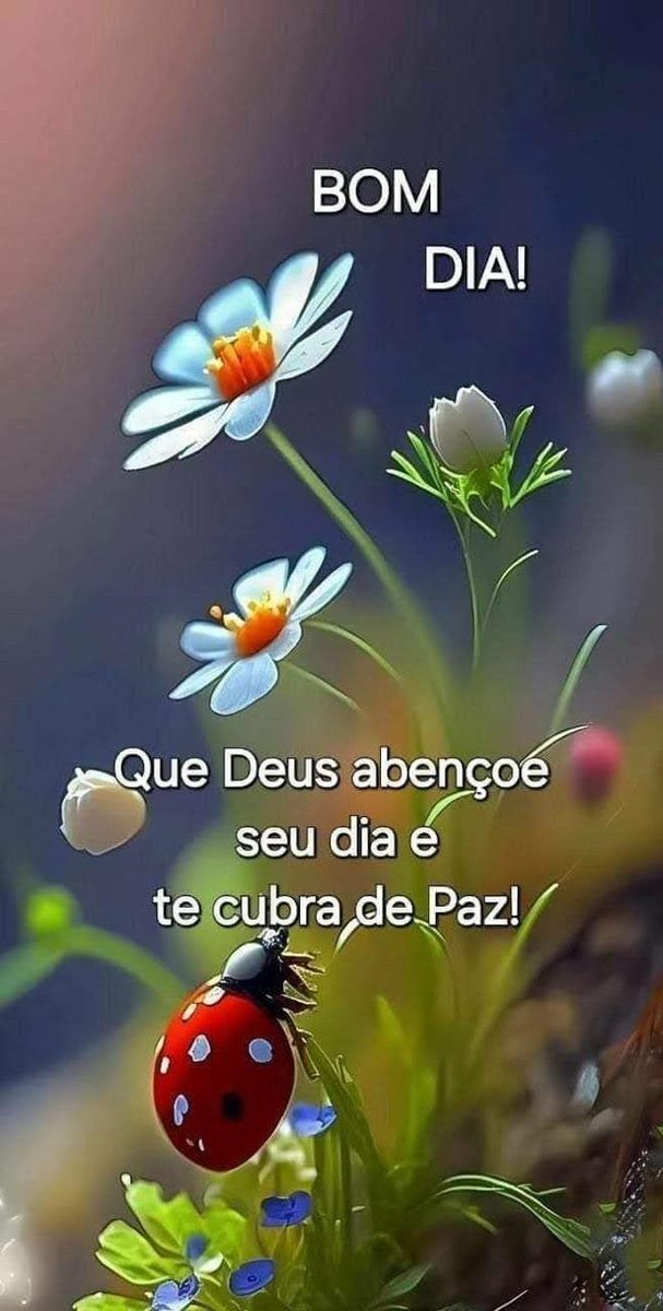 Gilcélia⚘ tweet media