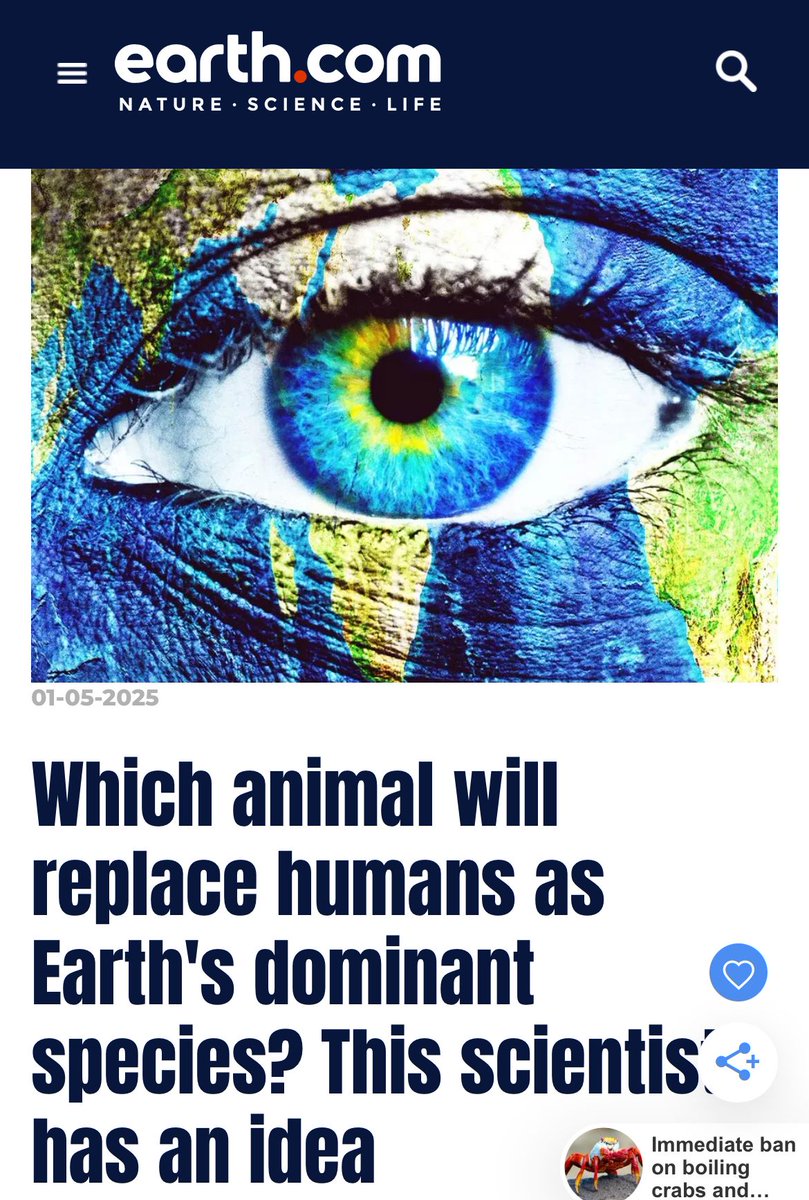 JohnStampBooks's tweet image. I'm voting for Crows. What would an Earth run by Crows look like?

buff.ly/3Ph5DZJ 

#writerslift #WriterStuffPodcast #WriterFuel
#READERS #BookTok #Writer
#writingcommmunity #mustread #booklovers #book #podcasts #booktwitter #bookrecommendations #action #fantasy #crime