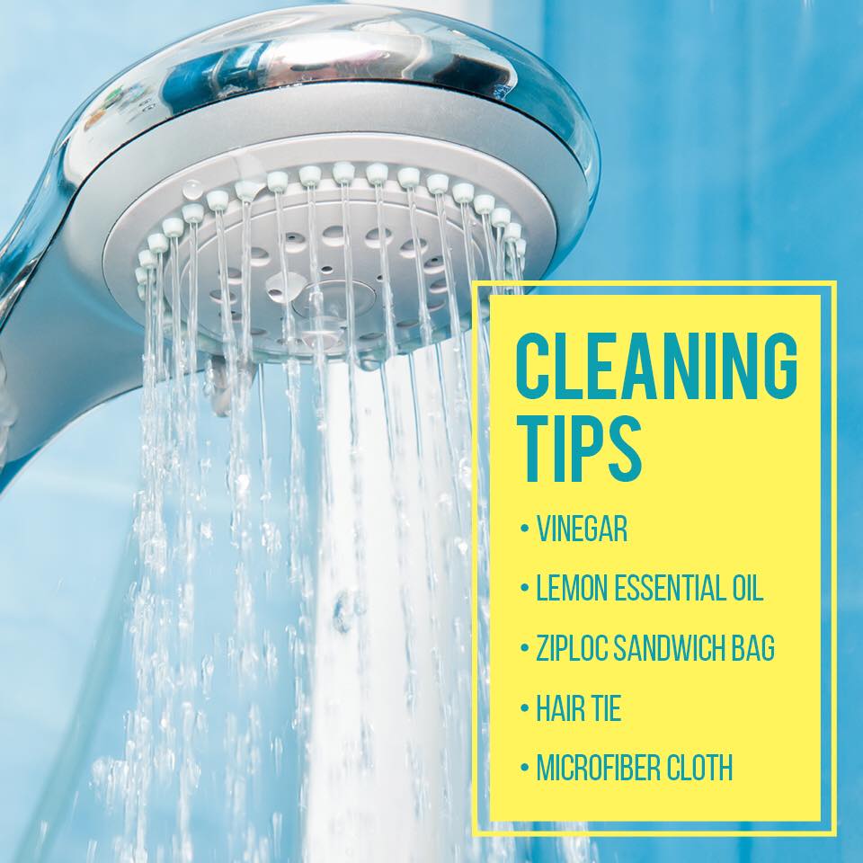 vegashomepro's tweet photo. RT @SMWesterly: Keep your showerhead clean &amp; odor free with these helpful cleaning tips: Soak your showerhead in vinegar and essential oil overnight, then wipe with a cloth to remove any hard water stains, mold, or mildew. #cleaningtip #shower #DIY https://t.co/jbNv7pycLy