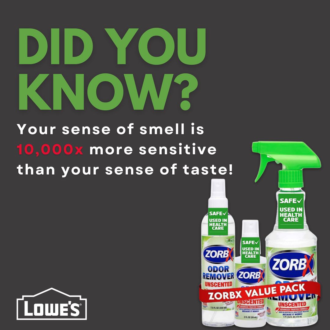ZorbxProducts's tweet photo. Get ZORBX at Lowe's!
https://t.co/vEtb7axiLR

No wonder bad smells hit so hard! Fight back with ZORBX —because everything else stinks..™ 💨 🌟 https://t.co/oIBpq3WL8A