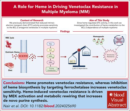 BloodPortfolio's tweet image. Heme promotes venetoclax resistance, whereas inhibiting heme biosynthesis by targeting ferrochetalase, enhances venetoclax sensitivity. ow.ly/HW8e50UZPPy #lymphoidneoplasia #multiplemyeloma