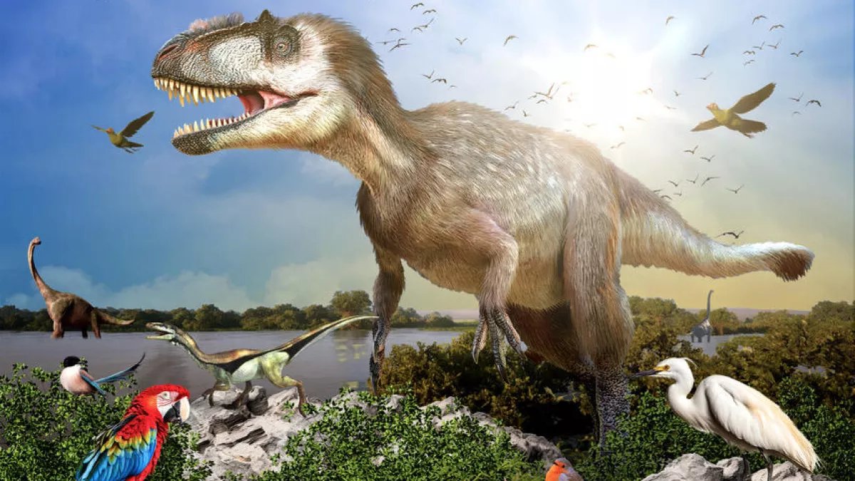 PaleontologieFr's tweet photo. 📺"La fabuleuse histoire des oiseaux, des #dinosaures parmi nous"
Docu sur l'évolution des #oiseaux 🐦dans "Science Grand Format".
Jeudi 20 février à 21h sur France 5
#ScienceGrandFormat #Paléontologie #Documentaire

https://t.co/1ZsHS48fF0 via @Francetele https://t.co/Q7yWhSahpE