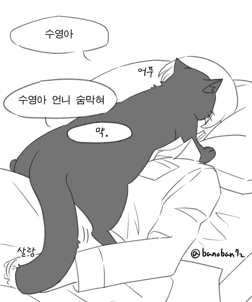 상아수영 트레낙서

고양이 한수영

#sangsoo