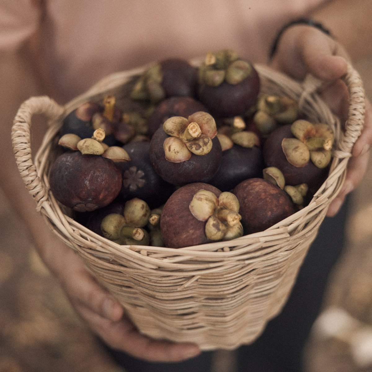 Fresh from our farm, these #mangosteens are nature’s gift of wellness. The baskets? Handwoven treasures from a village market just outside Chantaburi, #Thailand.

We honor every part of the process—nurturing our farm’s harvest while supporting local artisans and #SmallBusinesses.
