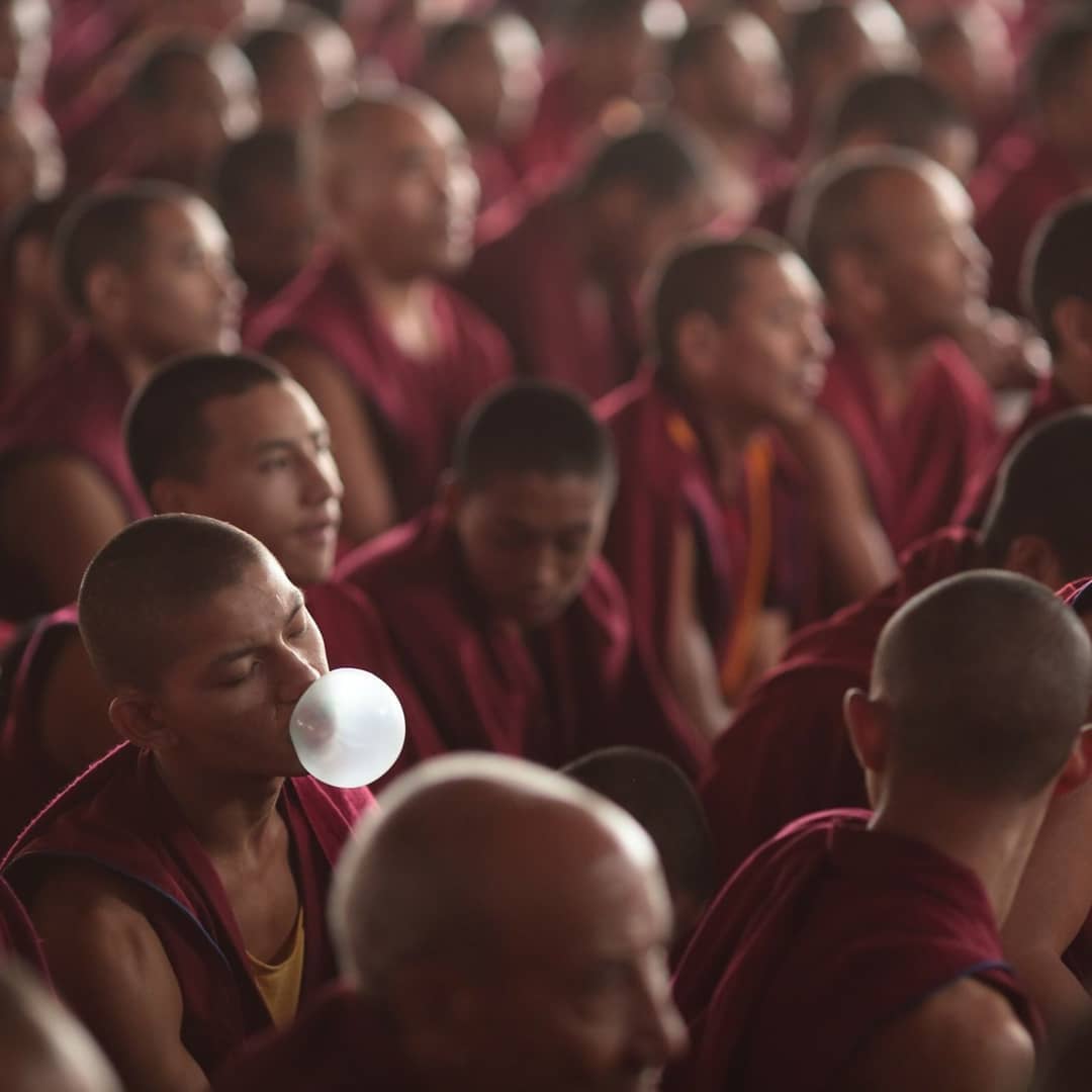 FigsFromPlums's tweet image. Lucy Maratkanova