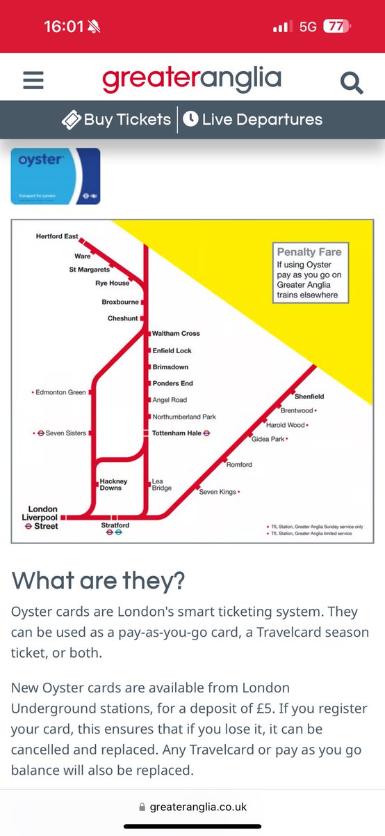 Michelle Lynch tweet media