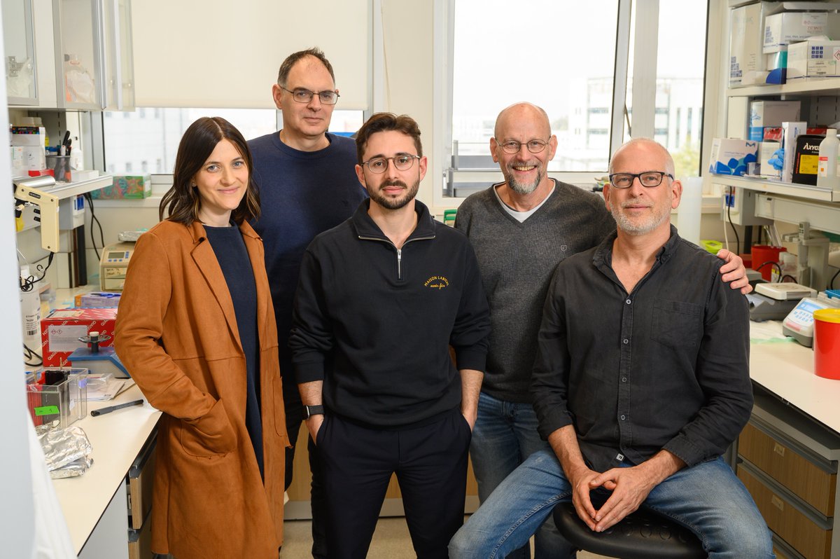 Eldad Tzahor (@tzahore) on Twitter photo A tremendous collaborative effort, spearheaded by my brilliant PhD student <a href="/MiyaraShoval/">Shoval Miyara</a>, co-mentored by my friend <a href="/UriAlonWeizmann/">Uri Alon</a>, and the amazing <a href="/MiriAdler/">Miri Adler</a> from @Rmedzhitov's team. (2/) A tremendous collaborative effort, spearheaded by my brilliant PhD student <a href="/MiyaraShoval/">Shoval Miyara</a>, co-mentored by my friend <a href="/UriAlonWeizmann/">Uri Alon</a>, and the amazing <a href="/MiriAdler/">Miri Adler</a> from @Rmedzhitov's team. (2/)