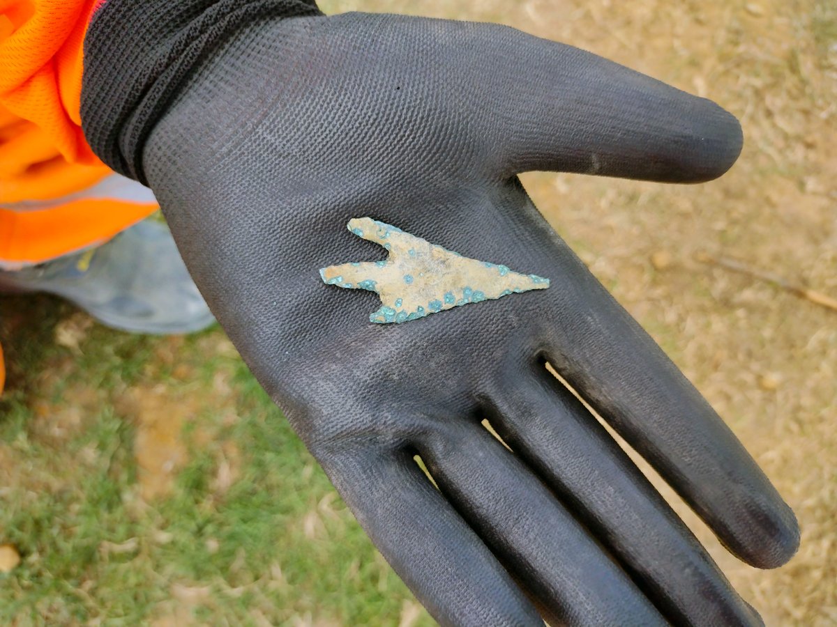 Cotswold Archaeology tweet media