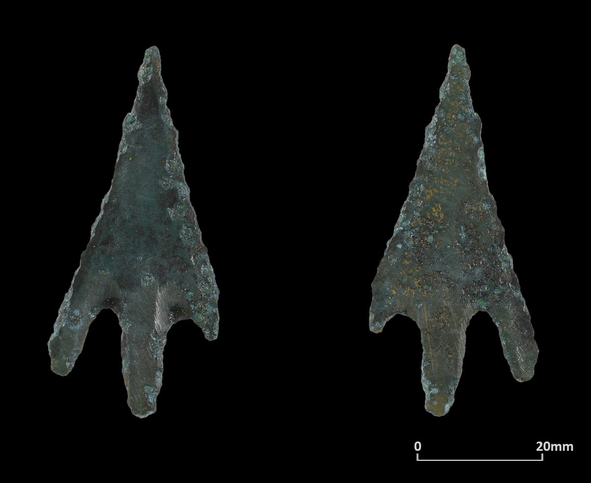 Our Milton Keynes field team recently discovered a rare 𝗯𝗮𝗿𝗯𝗲𝗱-𝗮𝗻𝗱-𝘁𝗮𝗻𝗴𝗲𝗱 𝗰𝗼𝗽𝗽𝗲𝗿 𝗮𝗹𝗹𝗼𝘆 𝗮𝗿𝗿𝗼𝘄𝗵𝗲𝗮𝗱 in the topsoil during excavations near Northampton! While barbed and tanged arrowheads of flint are typically linked to the 𝗘𝗮𝗿𝗹𝘆 𝗕𝗿𝗼𝗻𝘇𝗲