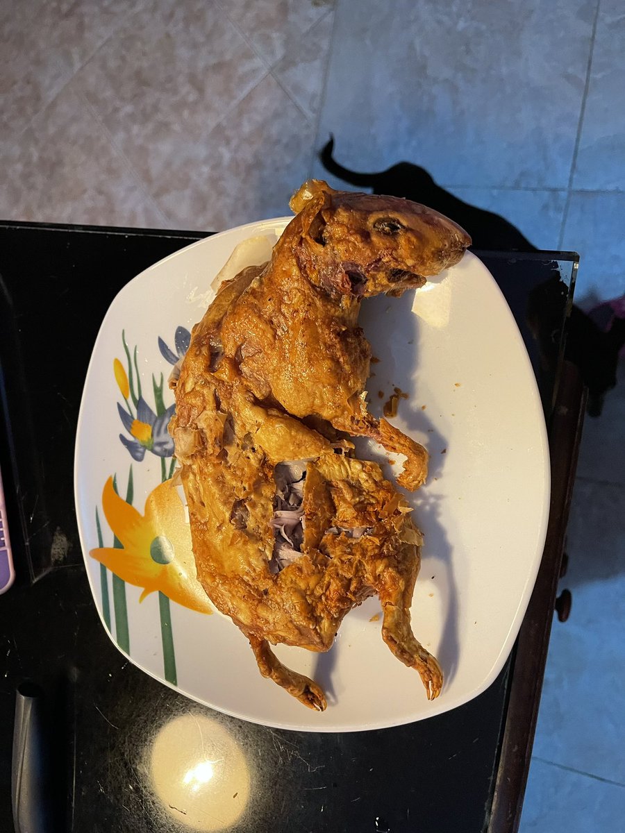 EvaPartis's tweet photo. me aceptarías un pedacito de este cuy o me lo rechazarías por ser humilde? 🥹 https://t.co/UTTfh7SKHi