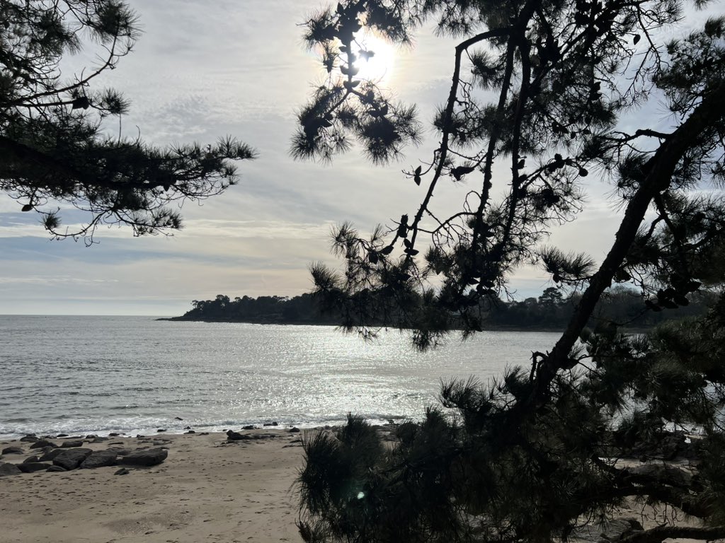 Bonne fin de journée la Team. ☺️
#Bretagne #Finistere #BzH