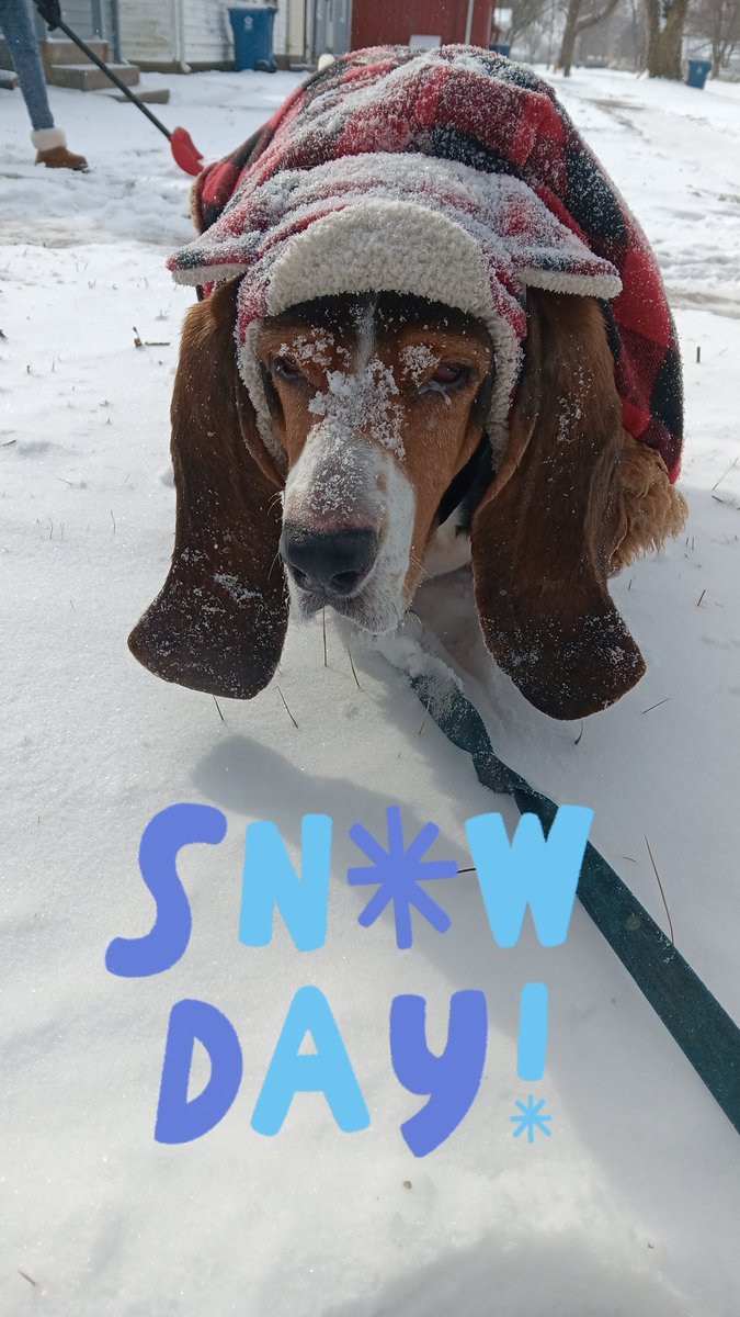 Matthew Drews tweet media