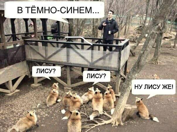 Твитор, а есть у вас мемы про истории? Типа такого, очень надо для подруги