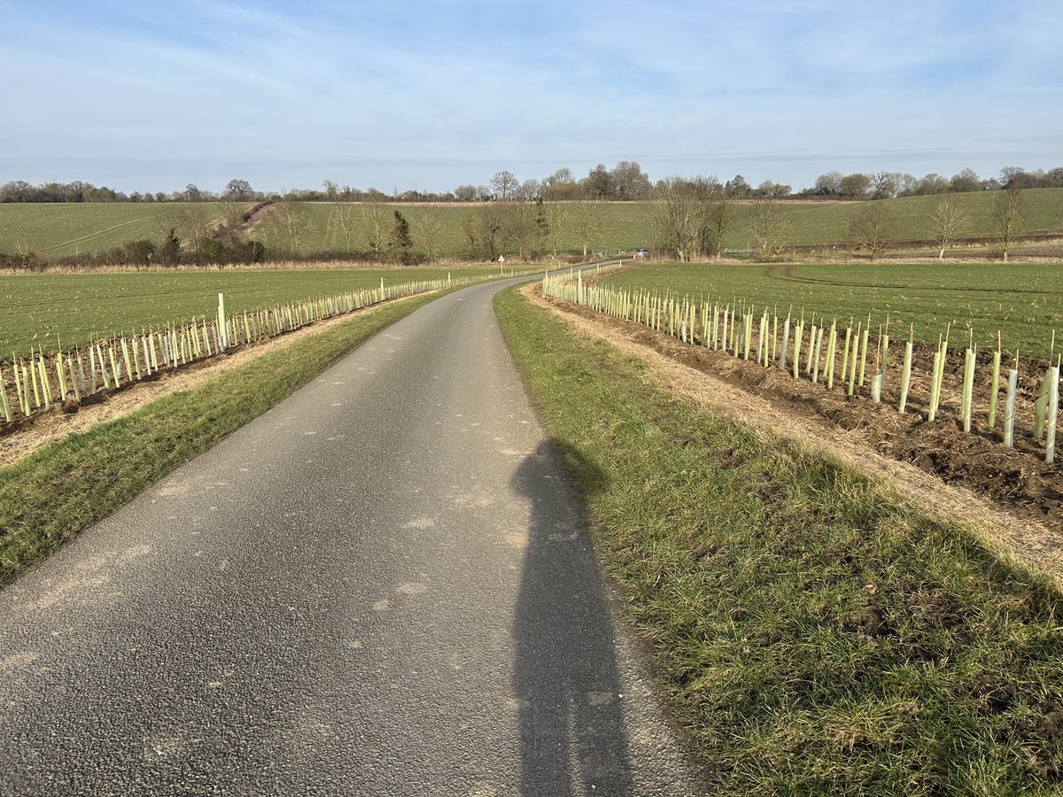 SusanHanny's tweet photo. All done by hand #new #hedging #suffolk #countryside more patience than me ! https://t.co/uF7i7s6vVn