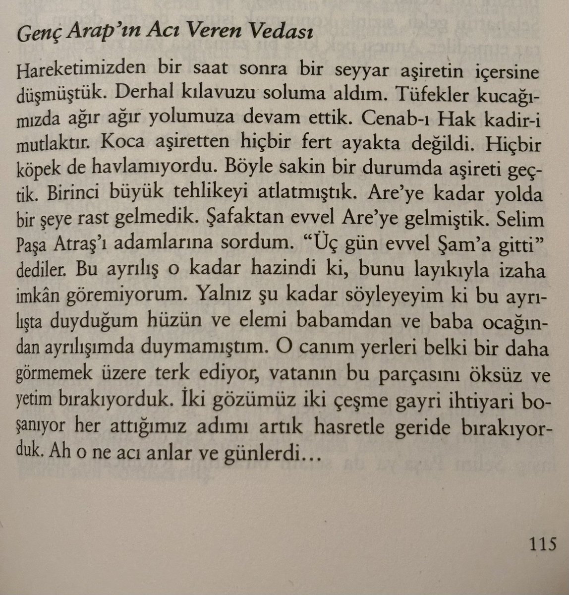 Safa Kapıcıoğlu tweet media