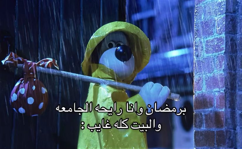 ريما tweet media