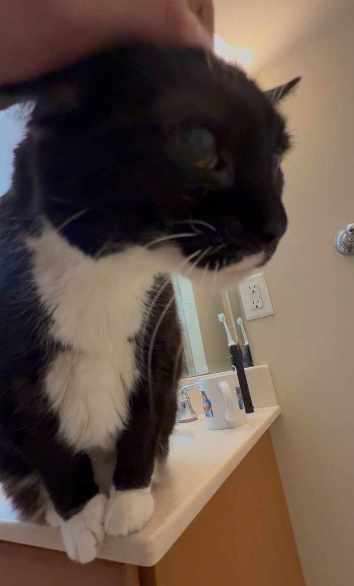 fxrsa_'s tweet image. cutemaxxing