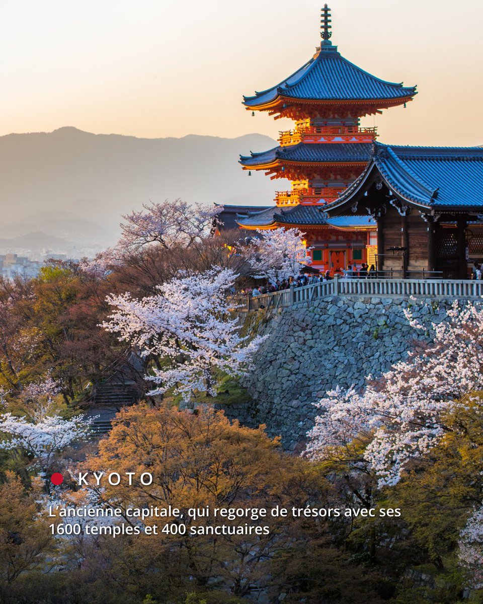 JPExperience_FR's tweet photo. Un billet digital pratique, utilisable immédiatement après l’achat. Prêt à partir ? 🚄💨
#Kansai #Nagoya #Osaka #Mie #Ise #Nara #Toba #Kyoto #Shigi #Akamewaterfalls #japanexperience https://t.co/bu9oKMWiLF