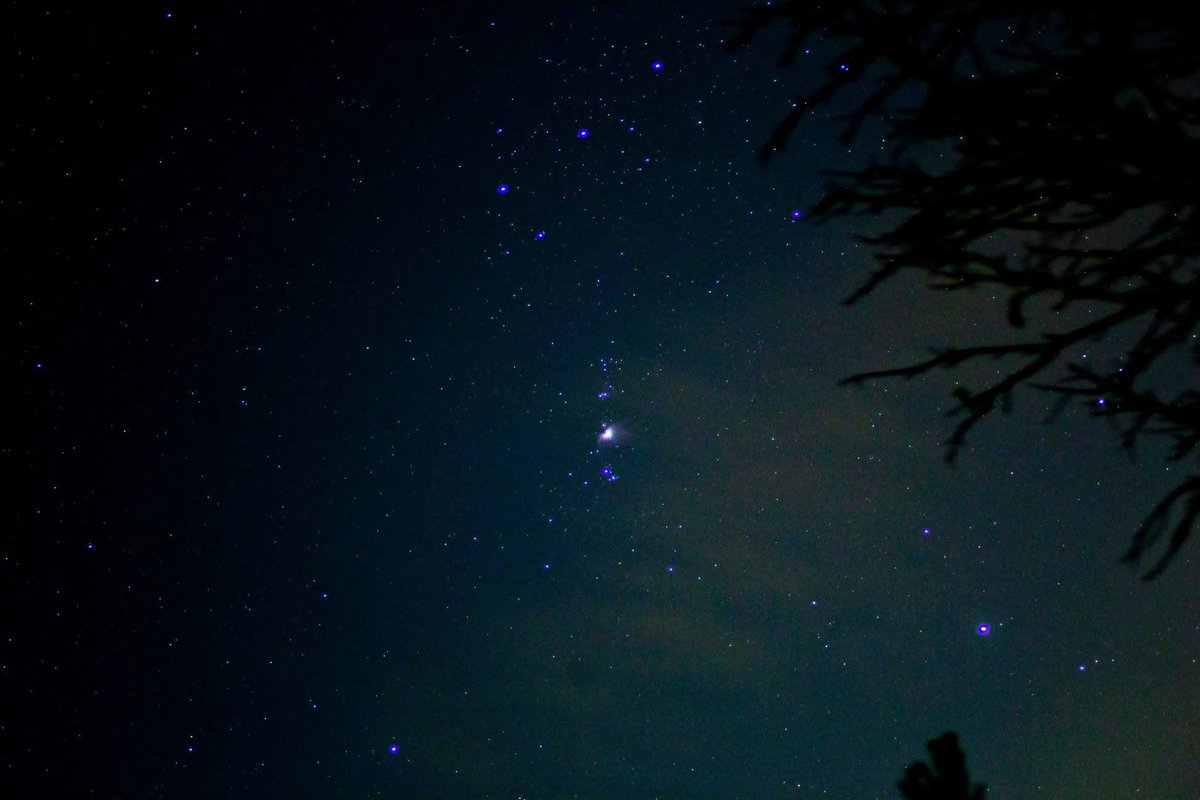 Andrew McCarthy tweet media