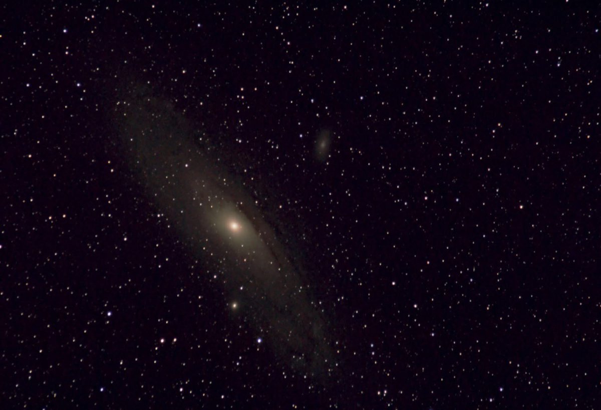 Andrew McCarthy tweet media