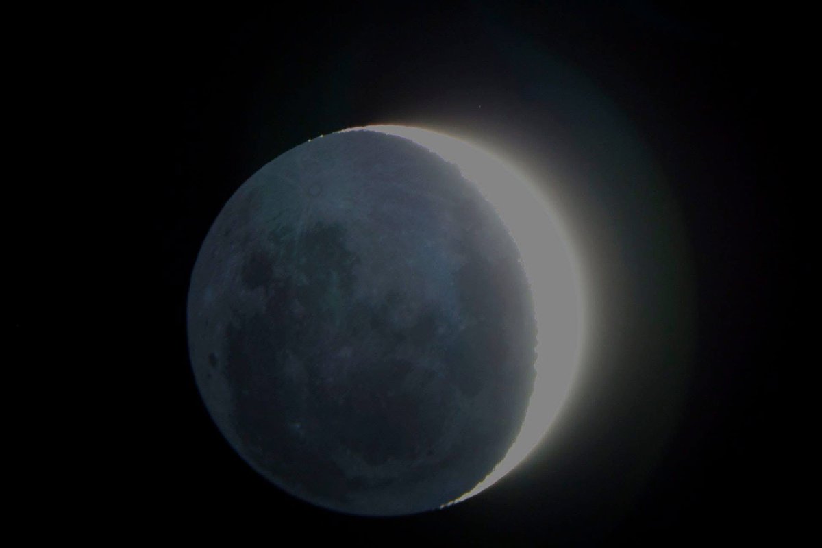 Andrew McCarthy tweet media