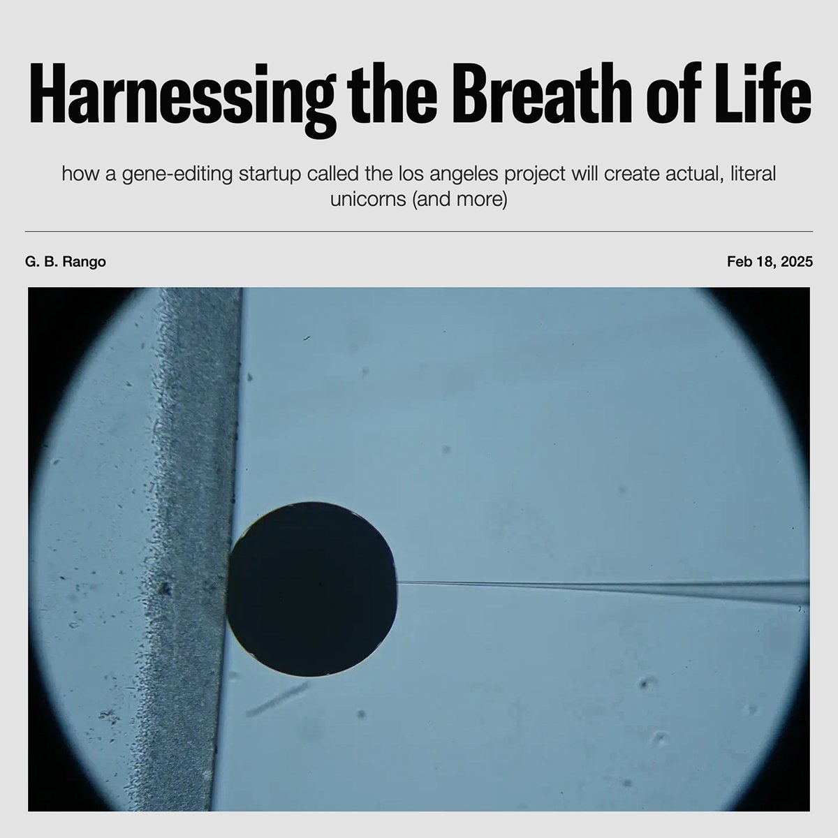 Pirate Wires (@piratewires) on Twitter photo The Los Angeles Project (<a href="/WeBuildLife/">The Los Angeles Project</a>), a venture-backed gene editing startup that’s been operating quietly for the past year, is coming out of stealth today, backed by <a href="/1517fund/">1517 Fund</a> and others.
Their early roadmap? Go to market with small glow-in-the-dark animals (popularized by The Los Angeles Project (<a href="/WeBuildLife/">The Los Angeles Project</a>), a venture-backed gene editing startup that’s been operating quietly for the past year, is coming out of stealth today, backed by <a href="/1517fund/">1517 Fund</a> and others.
Their early roadmap? Go to market with small glow-in-the-dark animals (popularized by