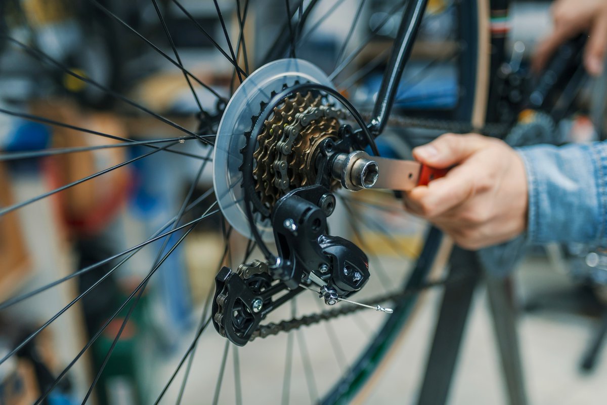 WestsideJoes's tweet photo. Westside Joe's Bikes can help you find the perfect bike for your needs. Whether it's a mountain bike or a road bike, we can help you. Visit us today. https://t.co/Vy9m0C2VP7 #BikeShop #BikeShopAlameda #BicycleShop #BikesForSale #BikeRepairShop https://t.co/Gk2IdR8Qao
