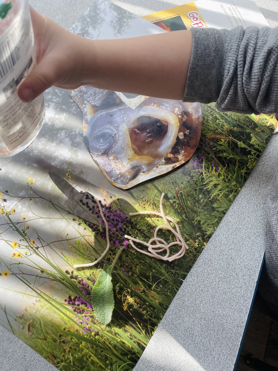 STLCrisisKids's tweet photo. What winter storm?! We're focused on growth &amp; brighter days ahead!

Huge thanks to @mobotgarden for the fun nature craft they brought for our kiddos! Their visit sparked joy, creativity, and learning PLUS a reminder that new beginnings are just around the corner! #SLCN #Growth https://t.co/tcndSJzWE1