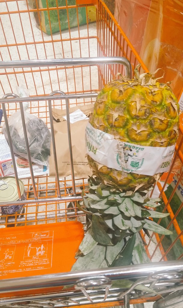 Alguna parejita por comal? O chica sola? 👀 Soy single solvente