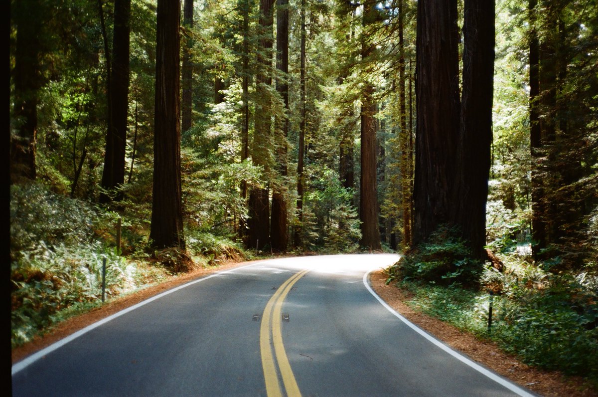 michaelboegl's tweet photo. California on 35mm film 🎞️ https://t.co/O2jvZNS8e6
